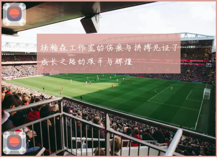 杨瀚森工作室的伤痕与拼搏见证了成长之路的艰辛与辉煌