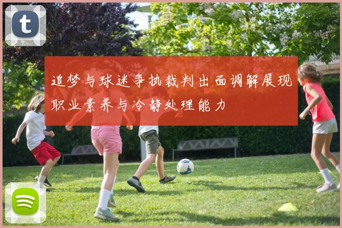 追梦与球迷争执裁判出面调解展现职业素养与冷静处理能力